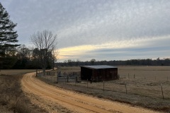 IMG_3128