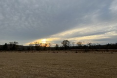 IMG_3134