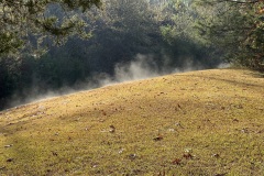 IMG_3156