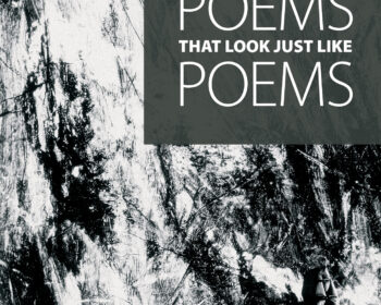 Poems that Look Just Like Poems